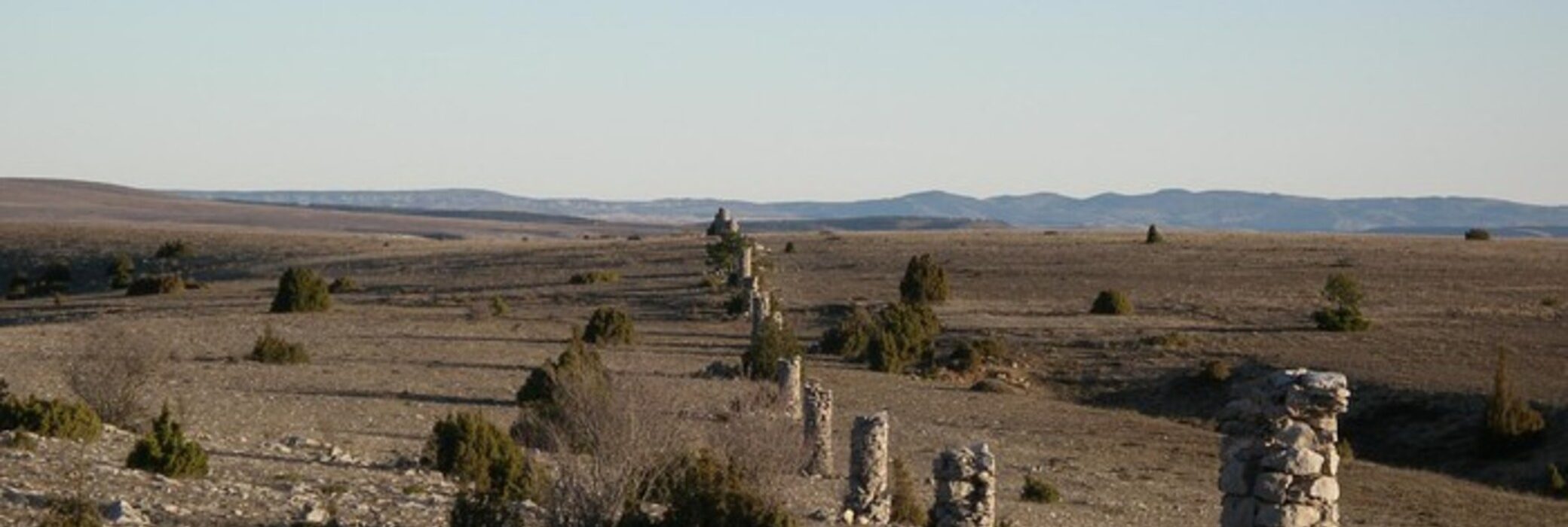 pilones(1)